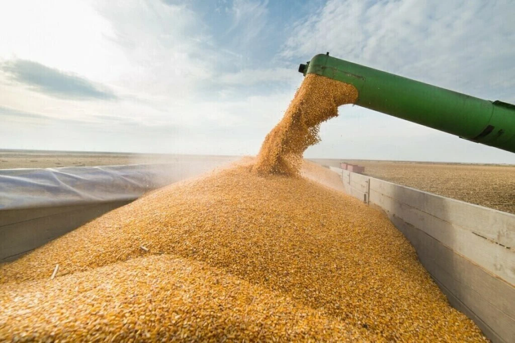 Експорт зернових з України з початку сезону скоротився на 22%